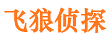 天元市侦探公司